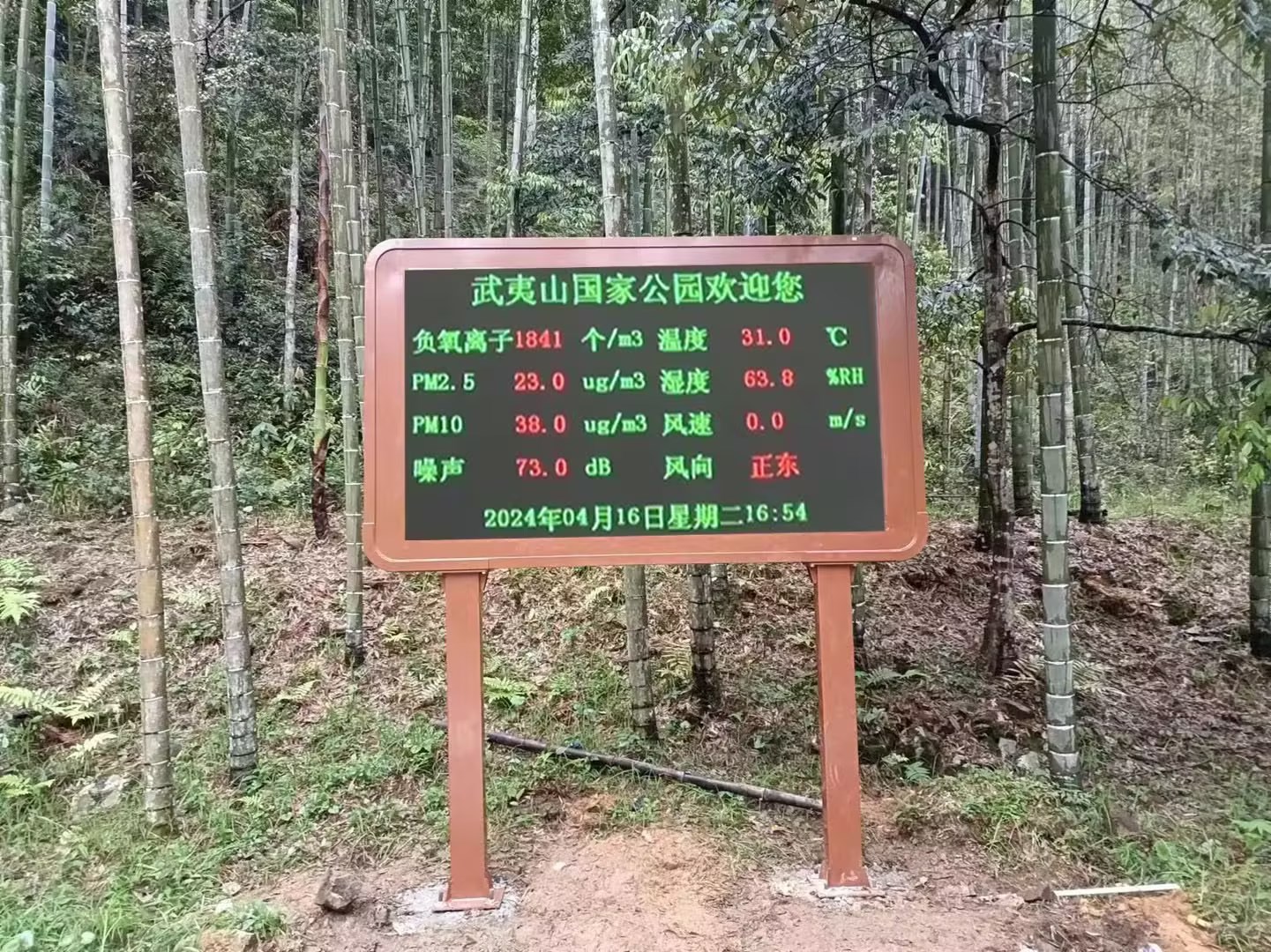 负氧离子在线监测系统的个性化定制与数据展现