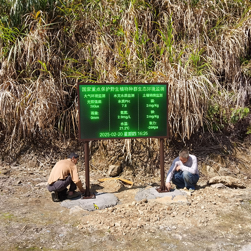 空气维生素负氧离子在线监测设备 植物园环境空气质量检测