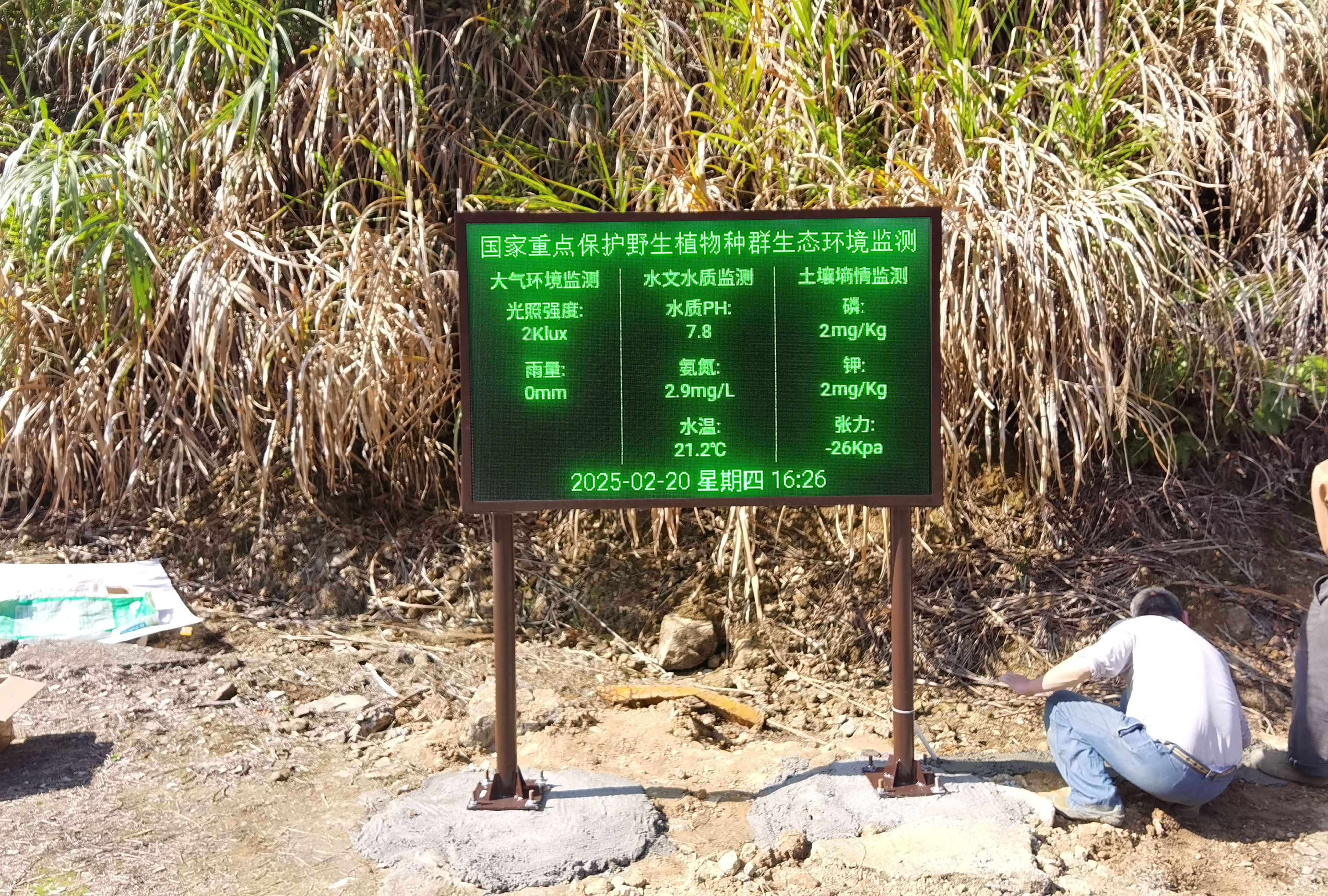 负氧离子监测气象站：森林、湿地生态环境评估的关键利器