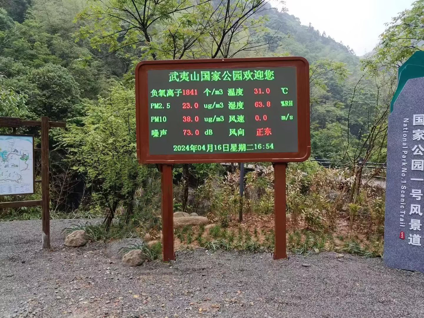 天然氧吧/负氧离子监测站助力维护森林生态系统的稳定与平衡