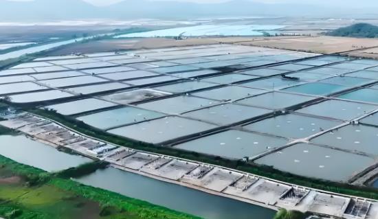 智慧水产养殖监测系统方案 浮标水质水产监测站 有效提升养殖效益保障水产品品质