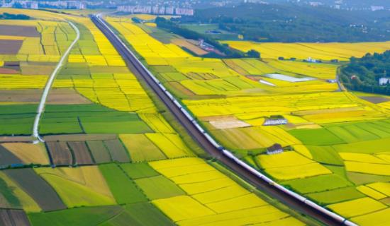 智慧农业智能灌溉系统设备 为提升种植效益提供有力支撑 智慧农业智能灌溉系统设备 为提升种植效益提供有力支撑